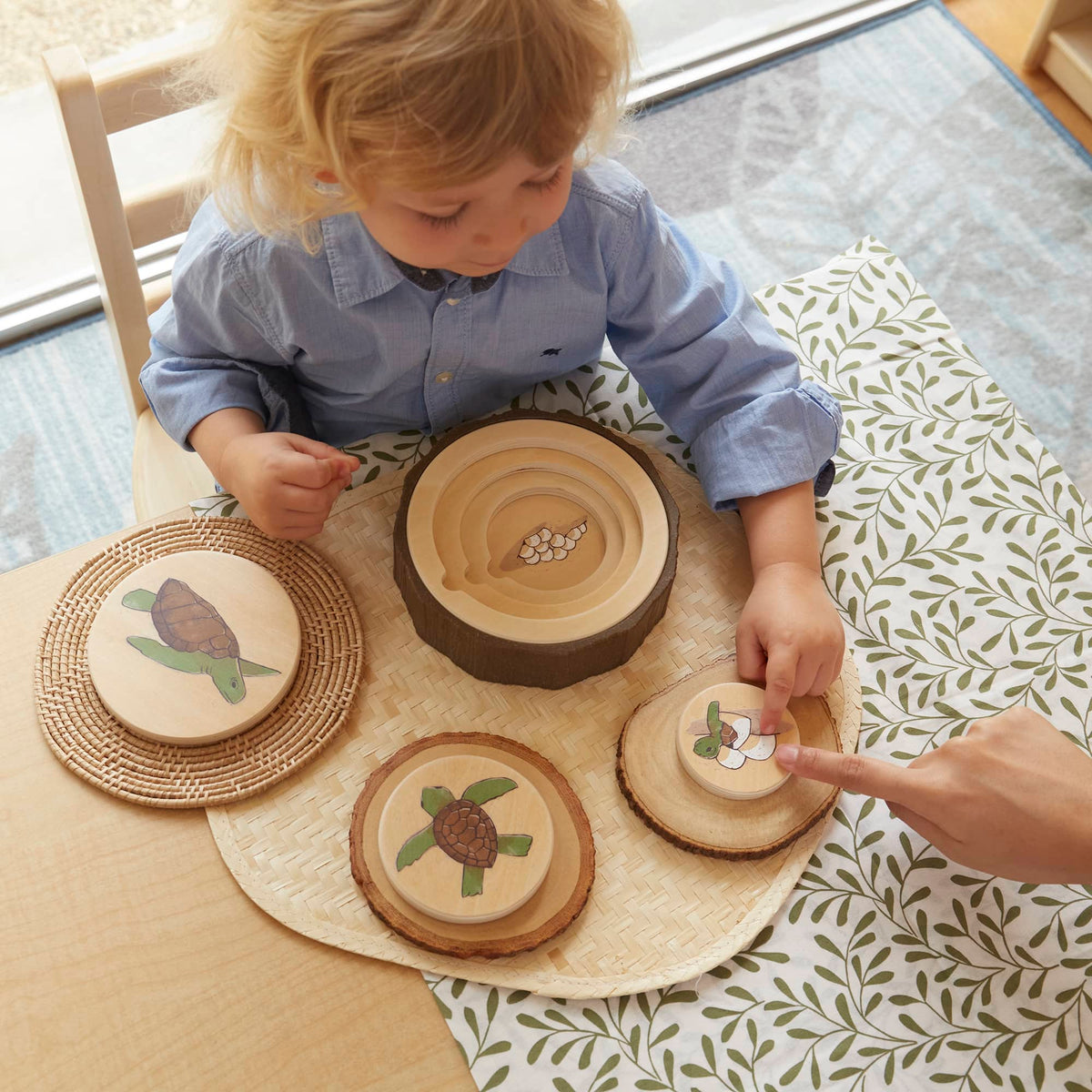 300655 Lifecycle Puzzles Set of 3 Lifestyle 5