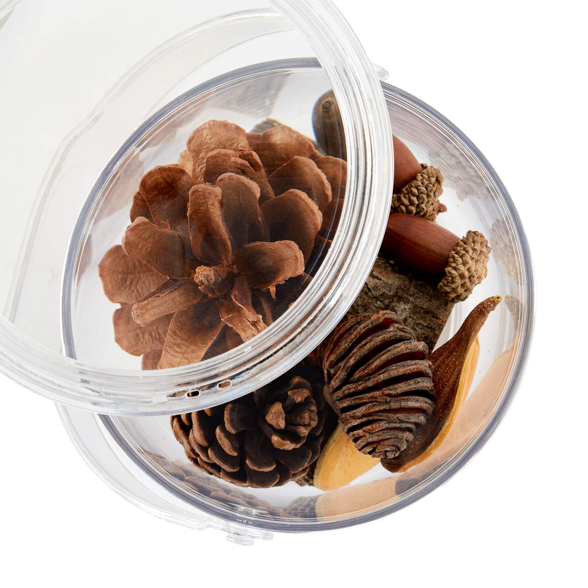 300786 Carry and Discover Magnification Containers Set of 2 Silo 5