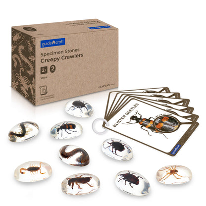 301316 Specimen Stones Creepy Crawlers Main Images | Creepy Crawlers