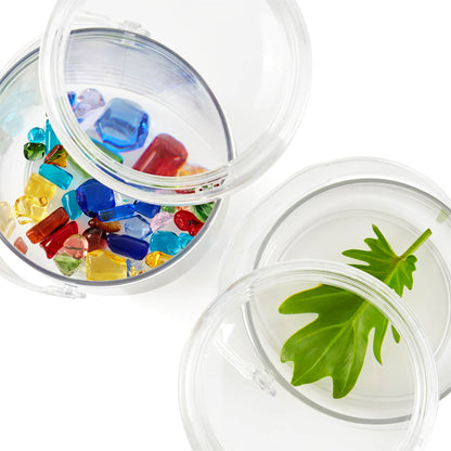 300786 Carry and Discover Magnification Containers Set of 2 Silo 7