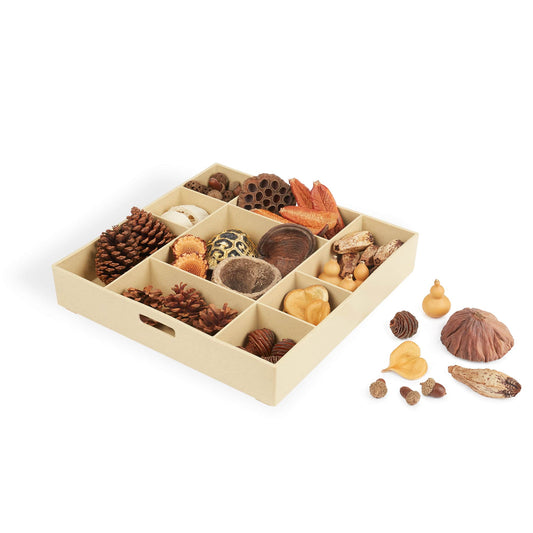 G4850 Nature's Geometry Product 2