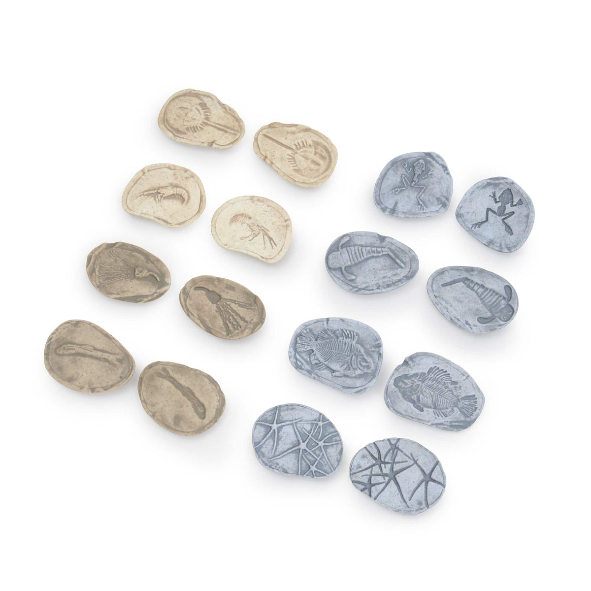 302268 Magnetic Matching Fossil Stones Aquatic Life Set of 8 Silo 19