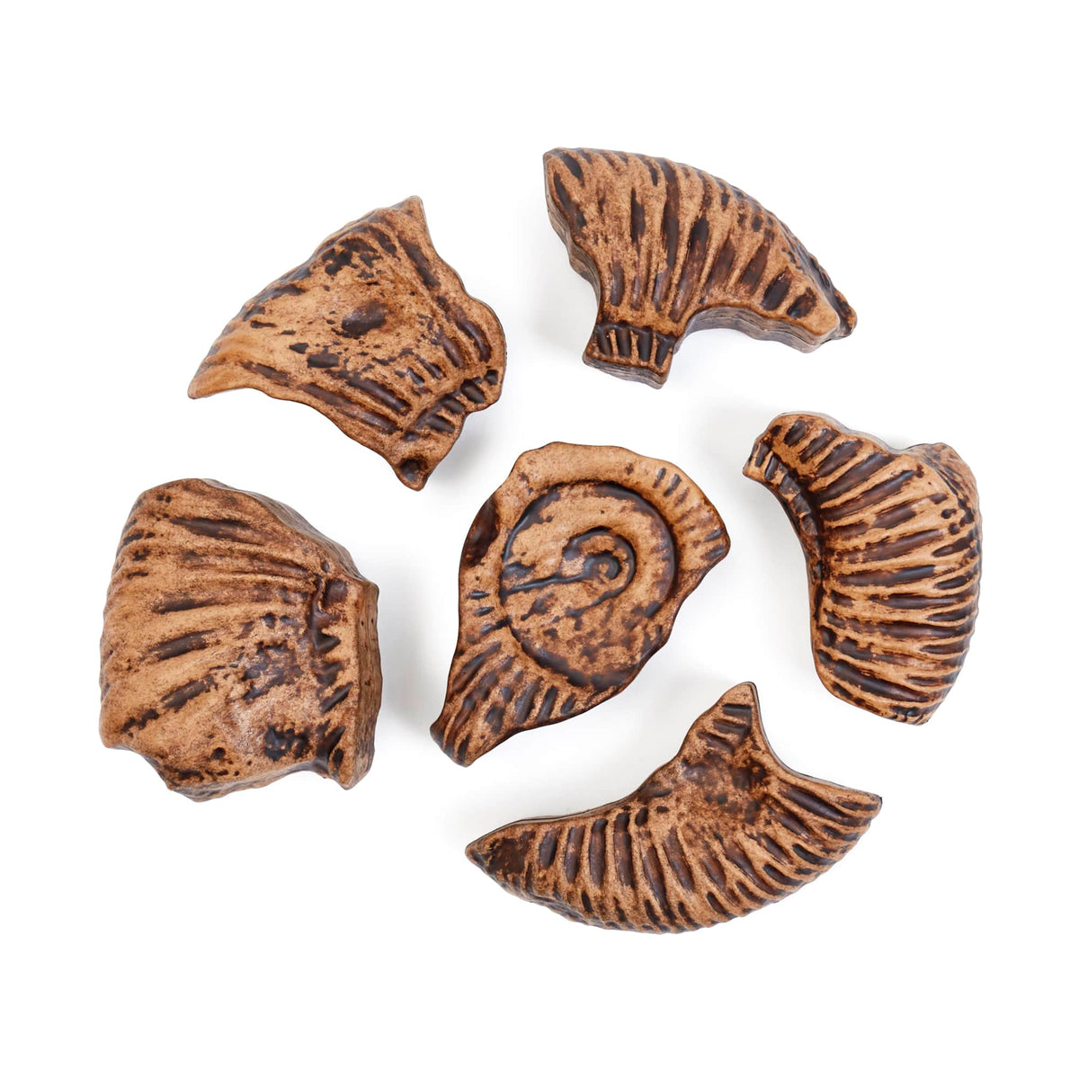 300798 Magnetic Fossil 3D Puzzle Ammonite Silo 7 | Ammonite